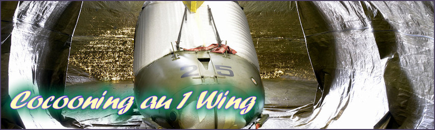 Cocooning au 1 Wing