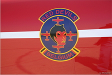 Red Devils - Insigne