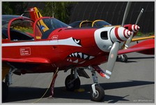 SF-260M - Red Devils