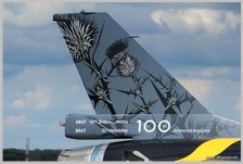 F-16AM - FA-132 - Décoration 100 ans chardon