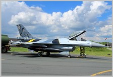 F-16AM - FA-132 - Décoration 100 ans chardon