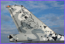 Le F-16AM FA-135 - décoration 70 ans Florennes