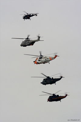 Formation Sea King, NH90 NFH, Alouette III