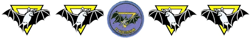 11 Squadron "Chauve-souris"