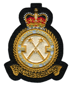 Insigne 349 squadron "Goedendags"